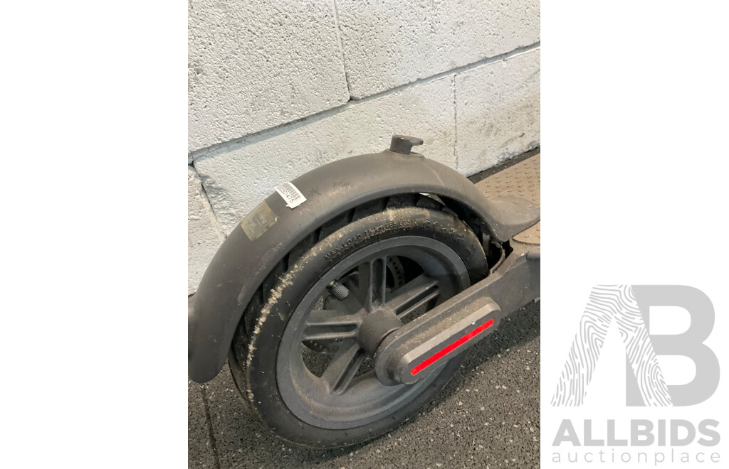 Electric Scooter