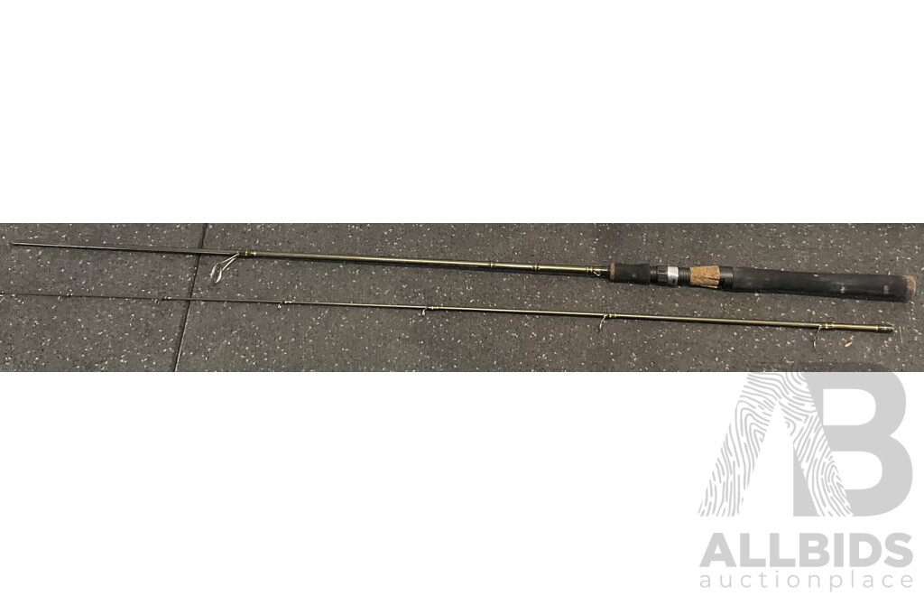 SUPER CASTER KING Surf Rod & Shimano Sentire Sakana Gen II 2pce Spin Rods & Shakespeare Wild Series Rods with Carry Case