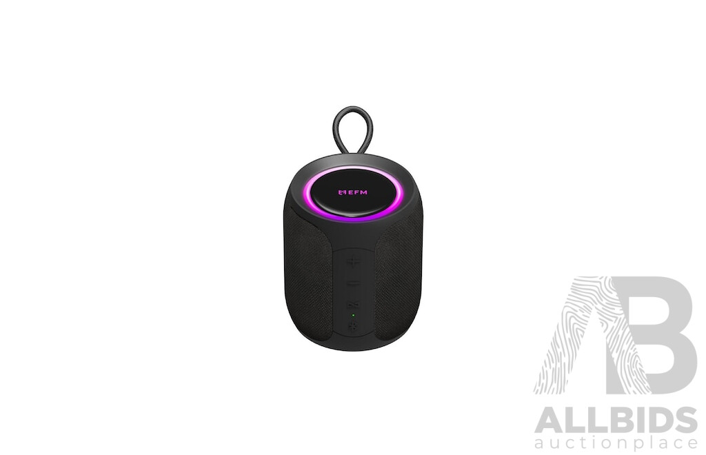 EFM Austin Mini Portable Bluetooth Speaker