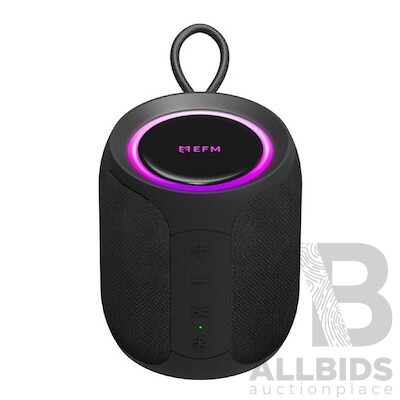 EFM Austin Mini Portable Bluetooth Speaker