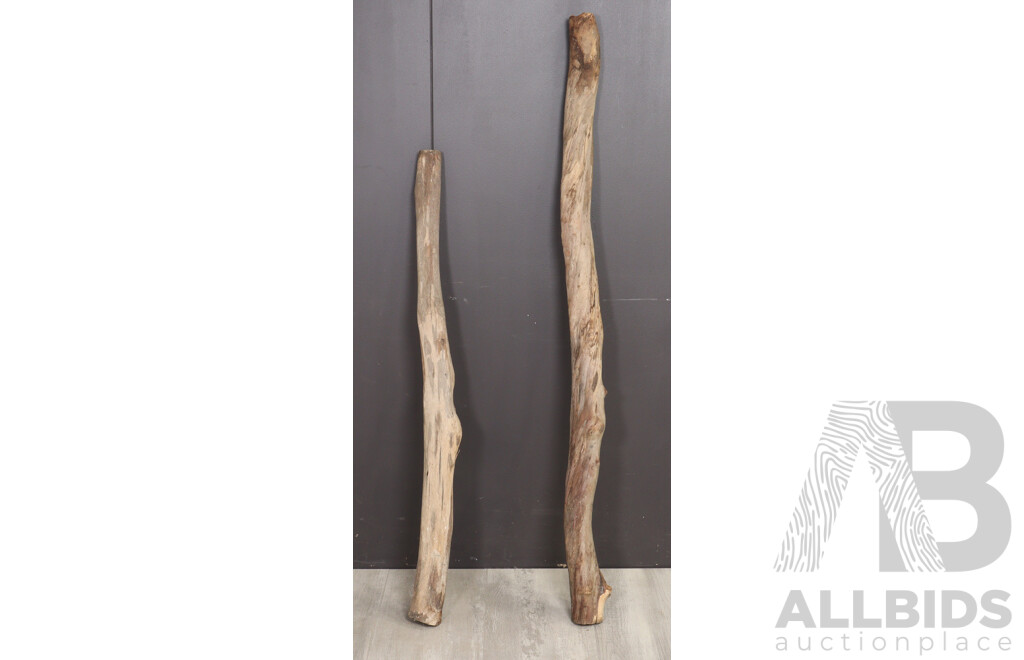 Two Hand Made Australian Eucalyptus Didgeridoo Blanks