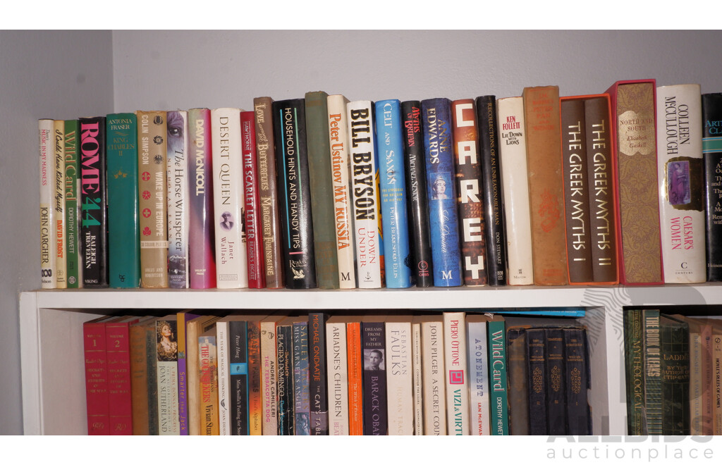 Large Collection of Books on Book Shelves in the Middle Room