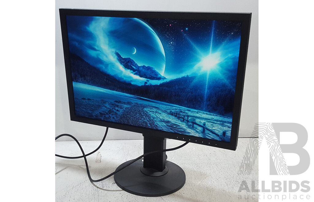 Eizo ColorEdge CS2420 (1920 x 1200) 24-Inch Colour Grading IPS Widescreen Monitor