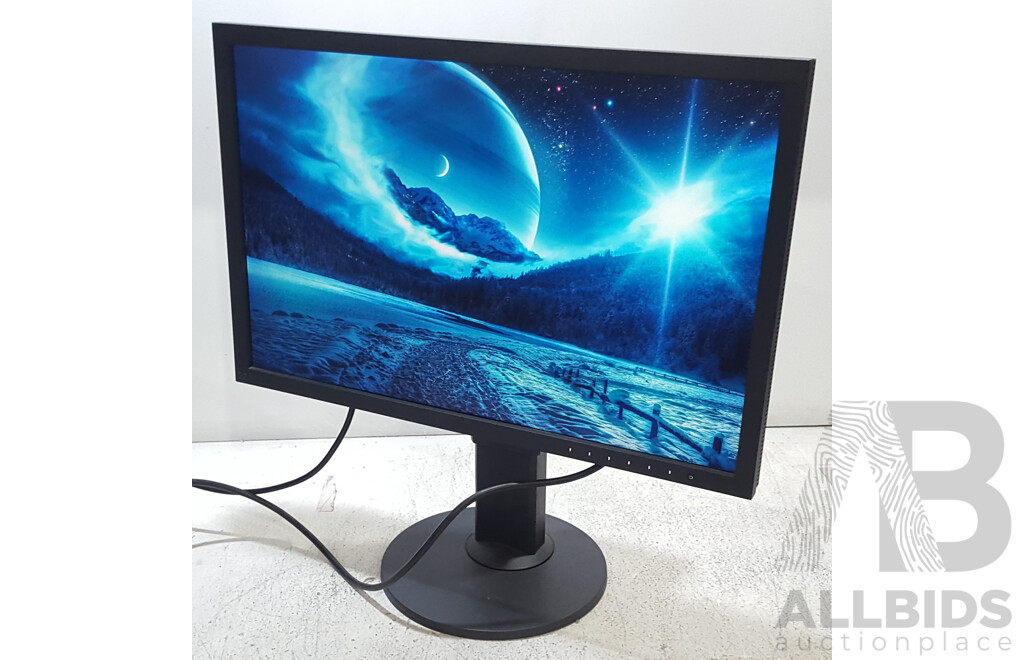 Eizo ColorEdge CS2420 (1920 x 1200) 24-Inch Colour Grading IPS Widescreen Monitor