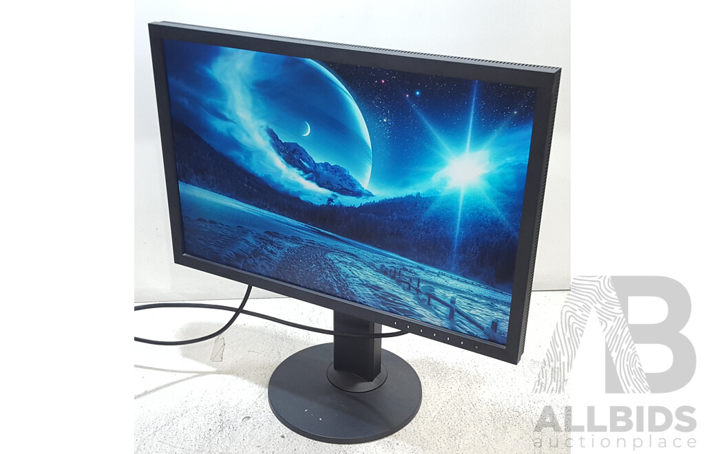 Eizo ColorEdge CS2420 (1920 x 1200) 24-Inch Colour Grading IPS Widescreen Monitor