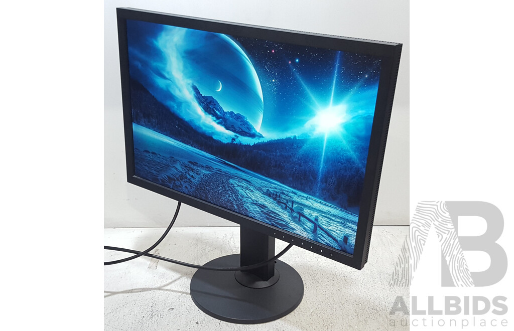 Eizo ColorEdge CS2420 (1920 x 1200) 24-Inch Colour Grading IPS Widescreen Monitor