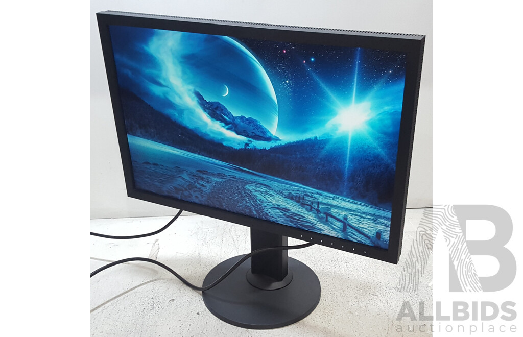 Eizo ColorEdge CS2420 (1920 x 1200) 24-Inch Colour Grading IPS Widescreen Monitor