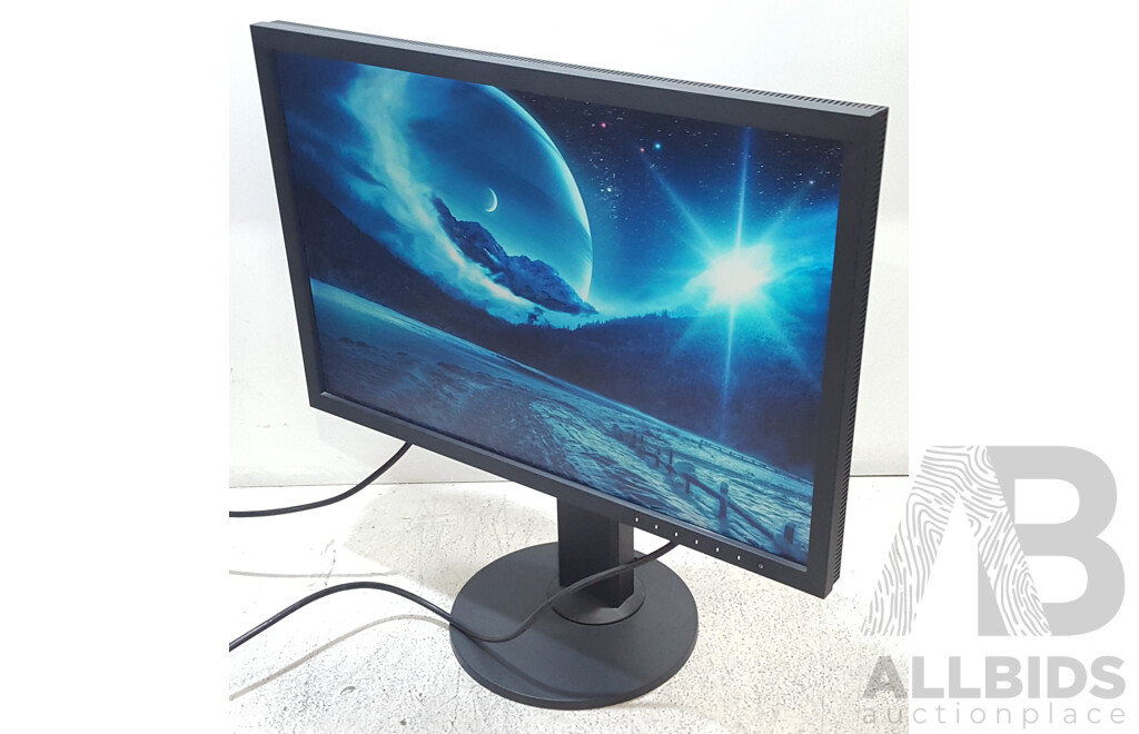 Eizo ColorEdge CS2420 (1920 x 1200) 24-Inch Colour Grading IPS Widescreen Monitor