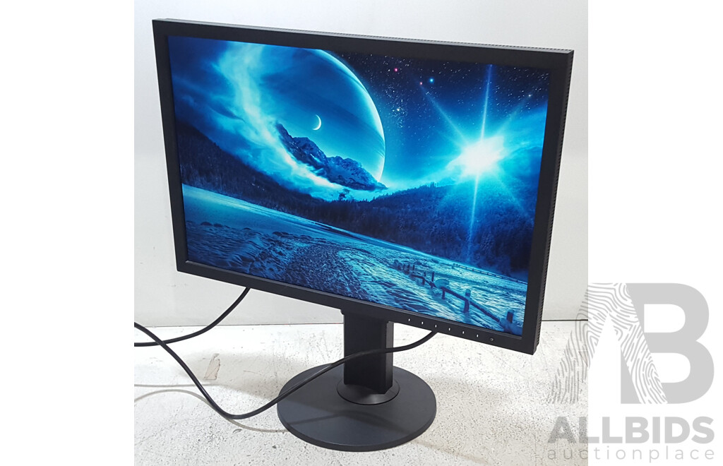 Eizo ColorEdge CS2420 (1920 x 1200) 24-Inch Colour Grading IPS Widescreen Monitor