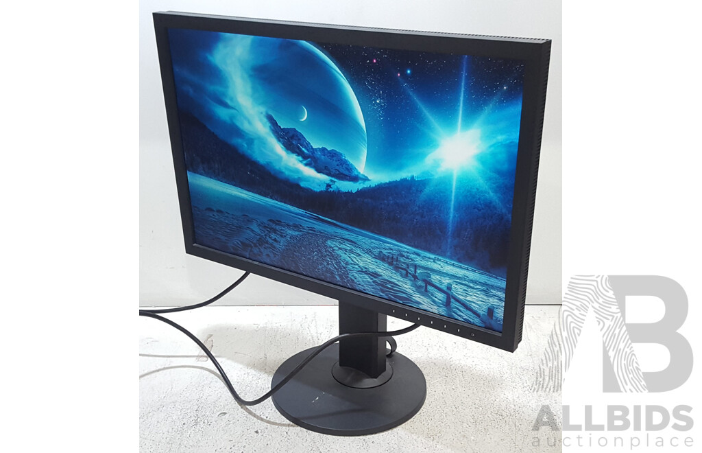 Eizo ColorEdge CS2420 (1920 x 1200) 24-Inch Colour Grading IPS Widescreen Monitor
