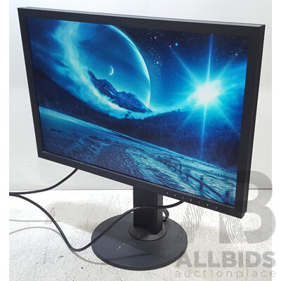 Eizo ColorEdge CS2420 (1920 x 1200) 24-Inch Colour Grading IPS Widescreen Monitor