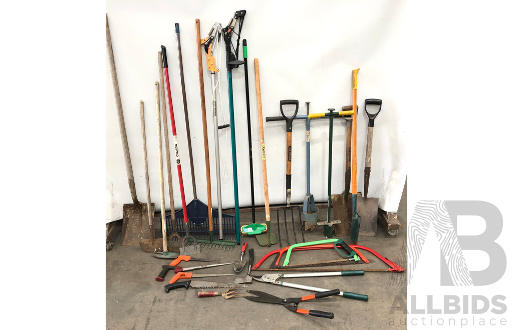 Selection of Various Gardening Tools