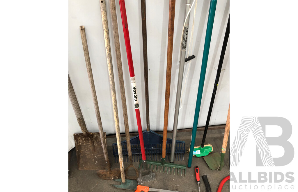 Selection of Various Gardening Tools
