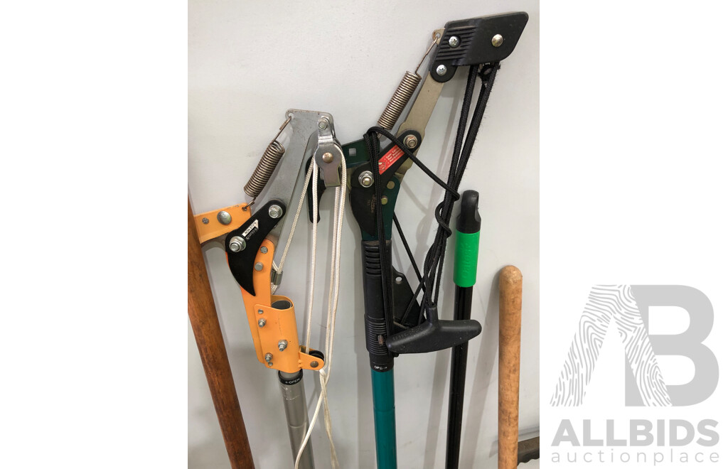 Selection of Various Gardening Tools