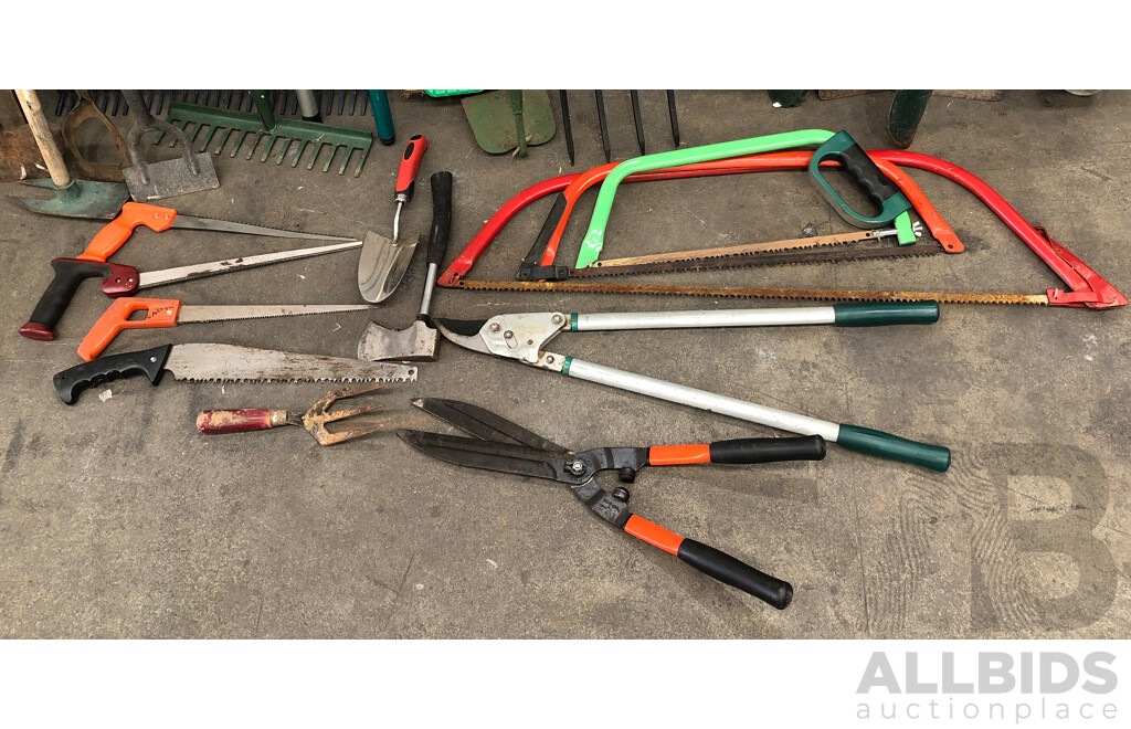 Selection of Various Gardening Tools
