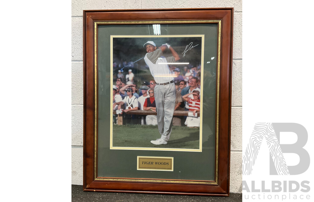 Framed Photo of TIGER WOODS with Signature, 81 X 66 Cm (frame)