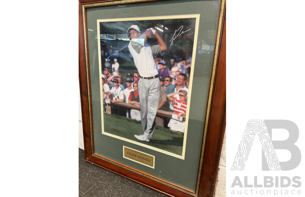 Framed Photo of TIGER WOODS with Signature, 81 X 66 Cm (frame)