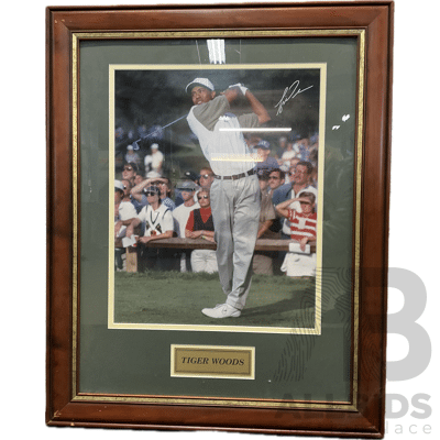 Framed Photo of TIGER WOODS with Signature, 81 X 66 Cm (frame)