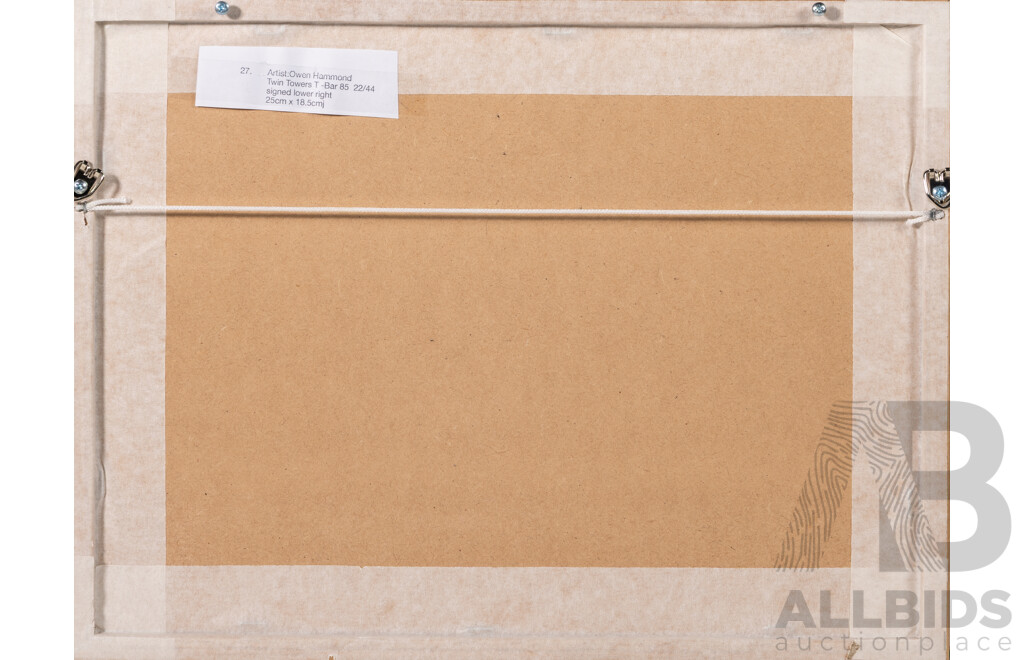 Owen Hammond, (20th Century, Australian), Twin Towers T-Bar (1985), Wonderful Signed and Editioned Original Screenprint, 31 x  41 cm (frame)