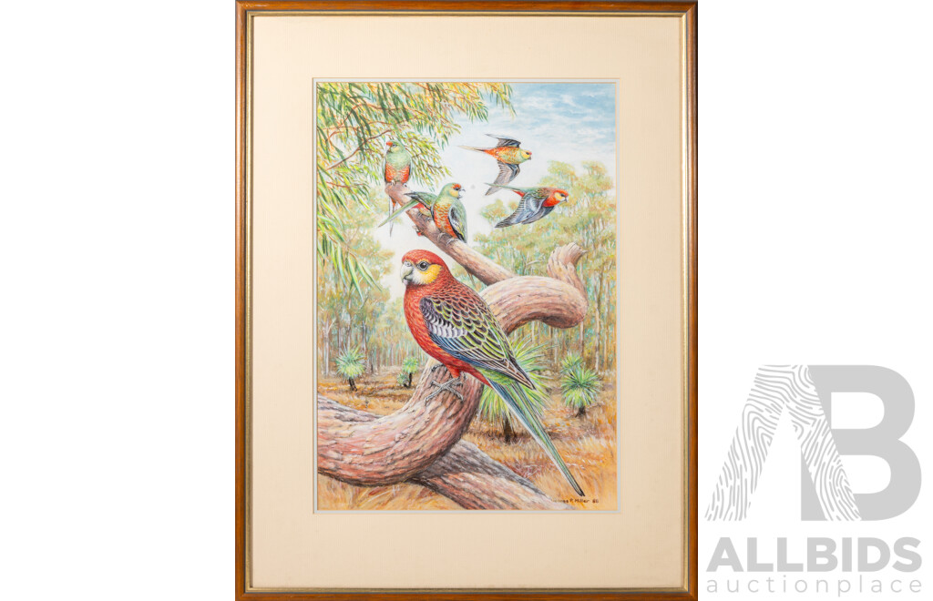 George F. Miller, (20th Century, Australian), Rosellas (1988), Lovely Original Watercolour, 71 x 55 cm (frame)