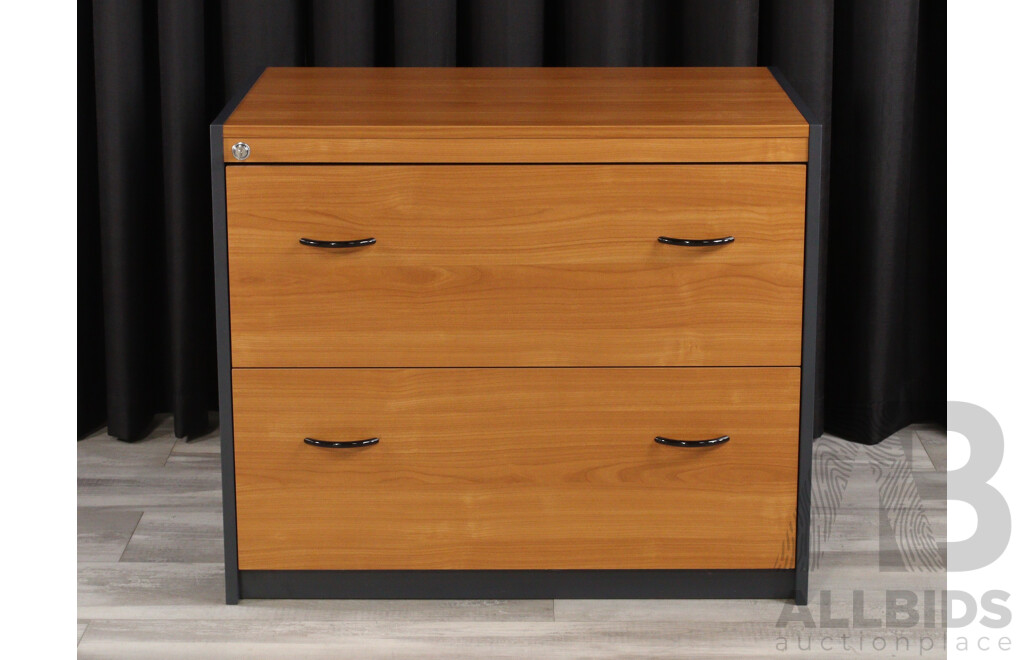 Modern Two Drawer Filing Cabinet
