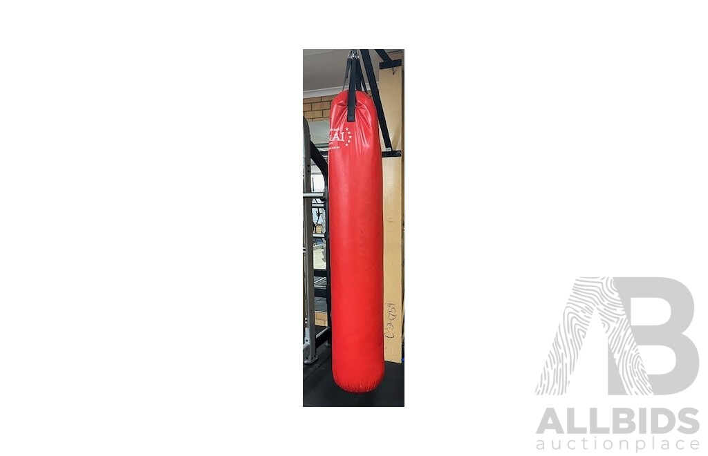 SMAI 1850mm Punching Bag