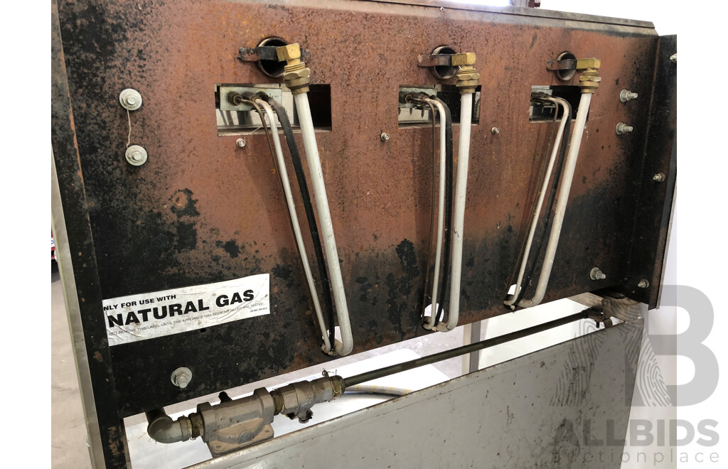 Goldstein Natural Gas Salamander and Stainless Steel Bench/Stand