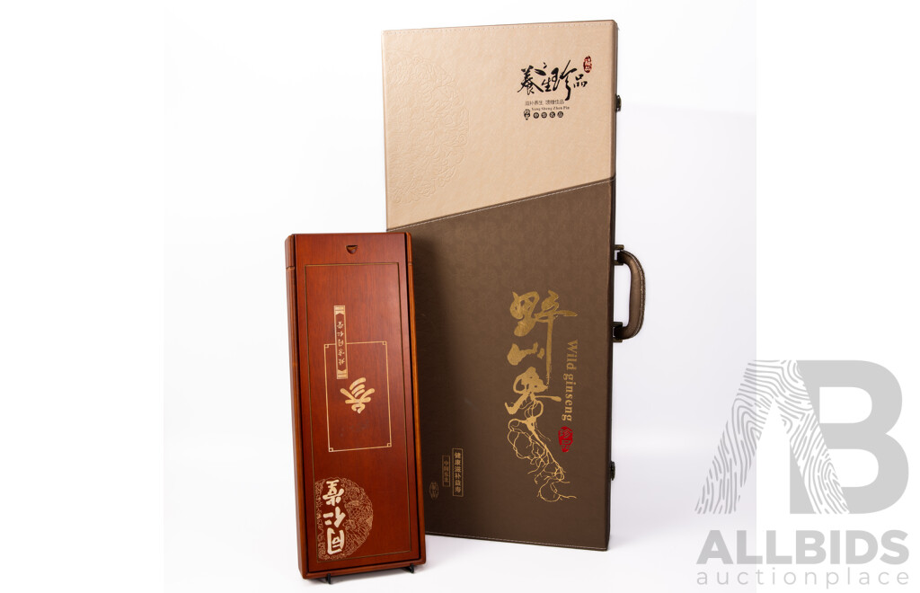 Large Wild Ginseng in Presentation Case by Yang Sheng Zhen Pin with Certificate Along with Another Smaller Example