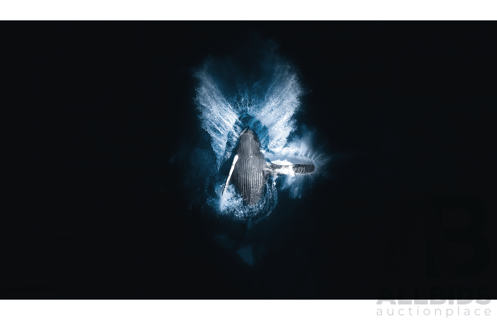 $200 Ocean Arts Voucher (Tim Burgess, Australian Geographic's 2024 Aerial Photographer of the Year)