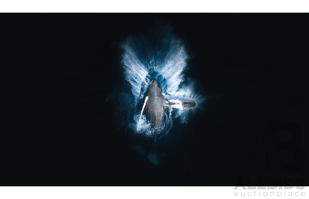 $200 Ocean Arts Voucher (Tim Burgess, Australian Geographic's 2024 Aerial Photographer of the Year)