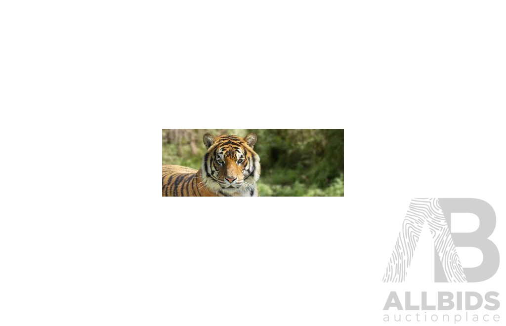 1x Awesome Roarsome Voucher for the National Zoo & Aquarium Canberra