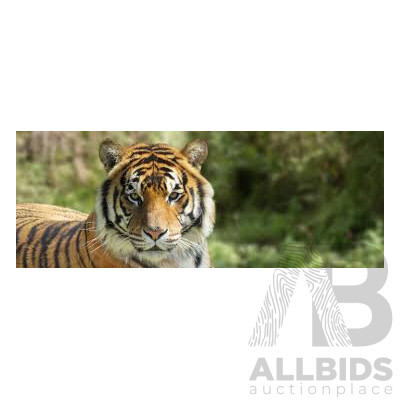 1x Awesome Roarsome Voucher for the National Zoo & Aquarium Canberra