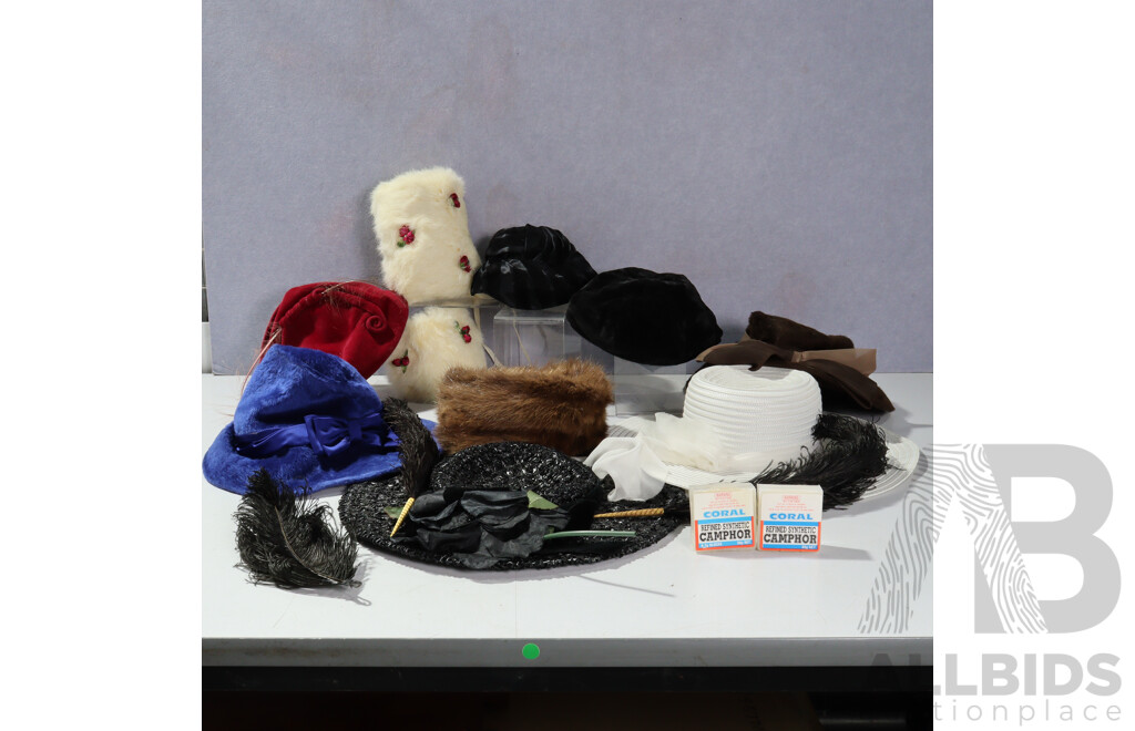 Collection VIntage Hats Including Fur Examples in VIntage Aeroplane Hat Case