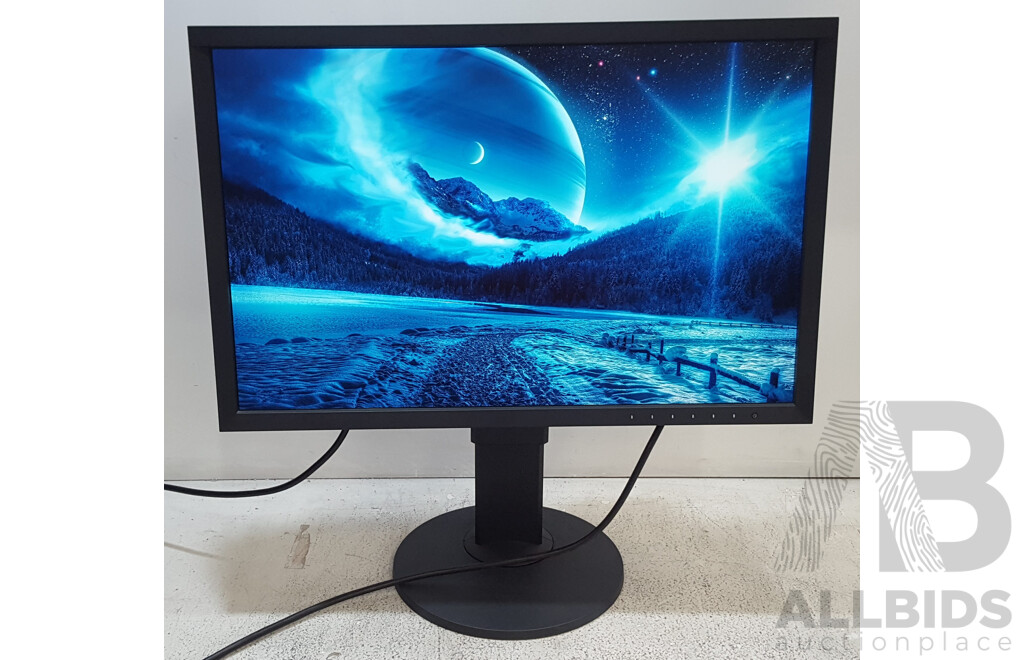 Eizo ColorEdge CS2420 (1920 x 1200) 24-Inch Colour Grading IPS Widescreen Monitor