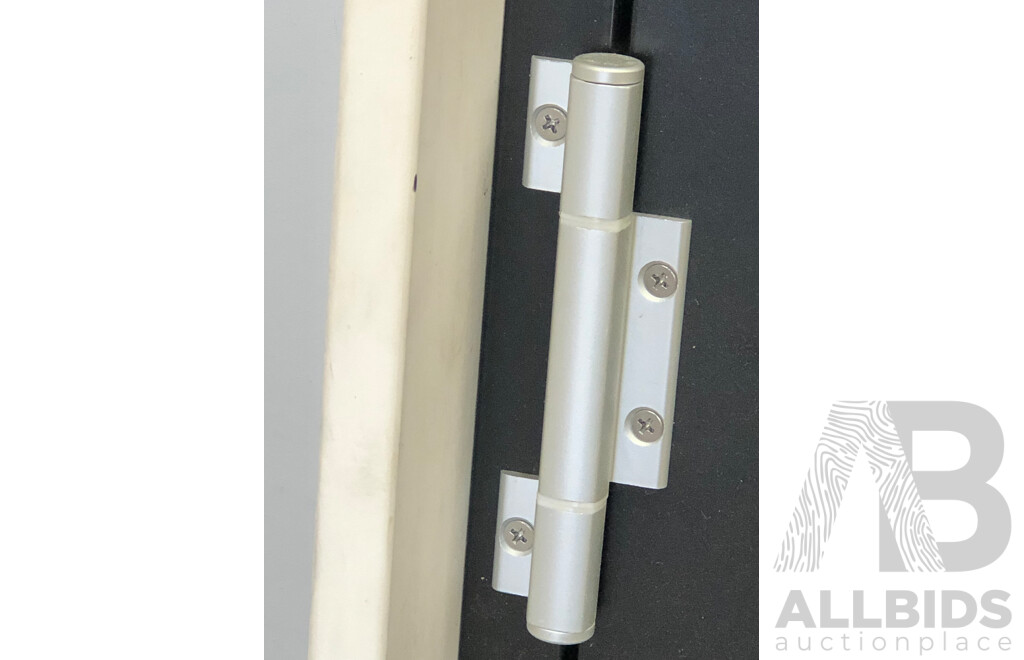 Trend Aluminium and Glass Entry Door with Timber Frame