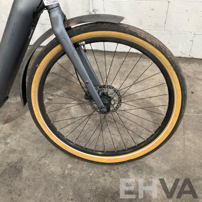 Giant MOMENTUM E-Hybrid Bike
