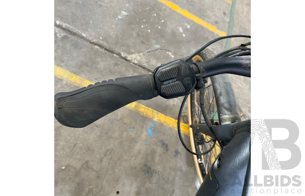 Giant MOMENTUM E-Hybrid Bike