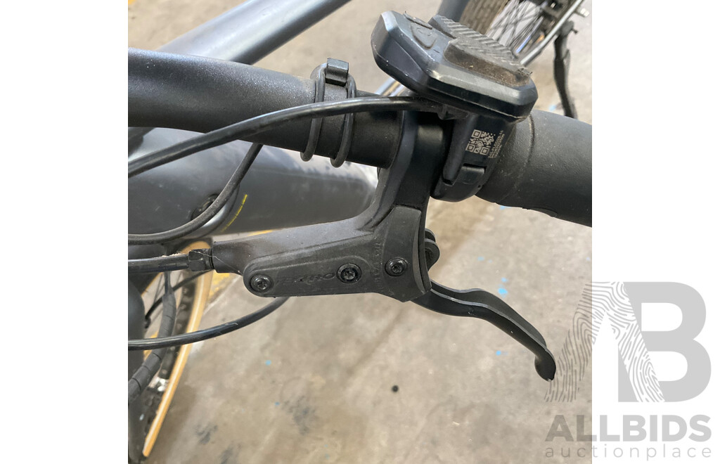 Giant MOMENTUM E-Hybrid Bike