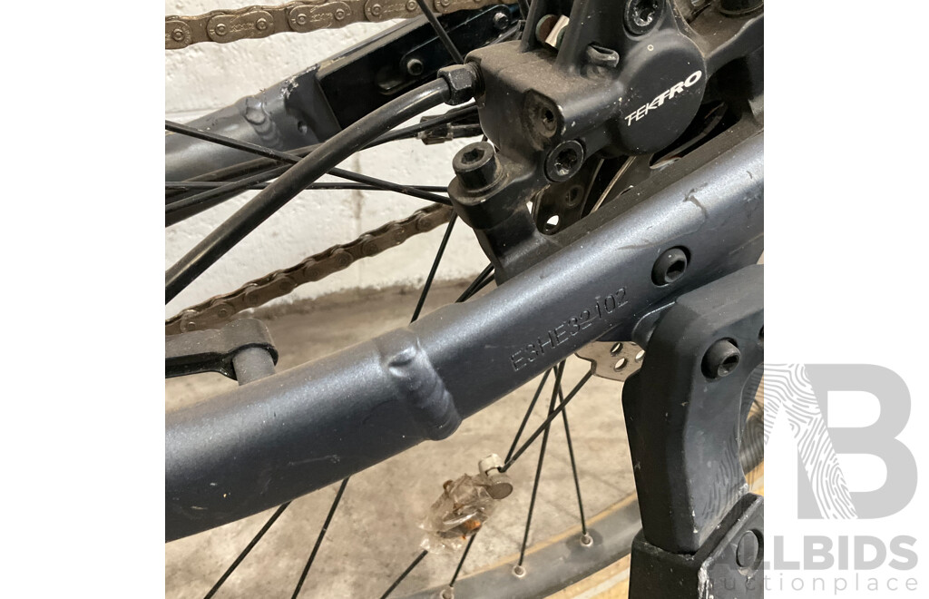Giant MOMENTUM E-Hybrid Bike