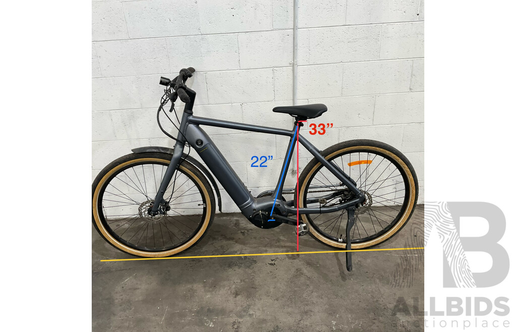 Giant MOMENTUM E-Hybrid Bike