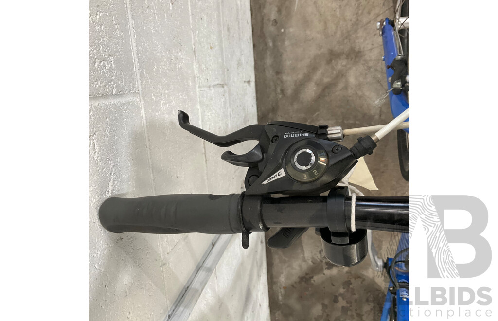 Avanti Blade Series Road Bike