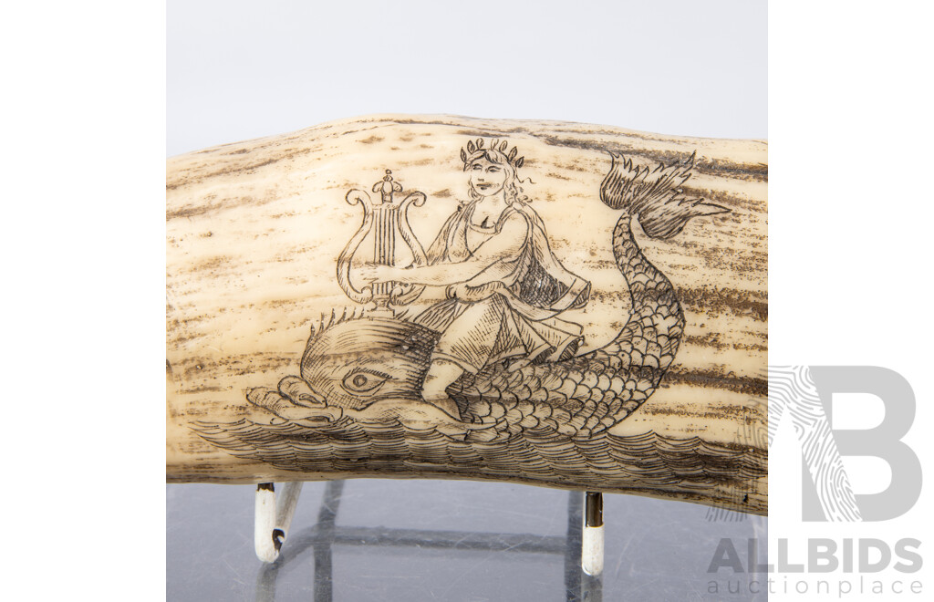Gentle Persons Lot Including Composite Whale Tooth with Scrimshaw Style Decoration, Art Nouveau Casket with Brass Detail, Drinking Horn, Ladle with Nautilus Bowl and More