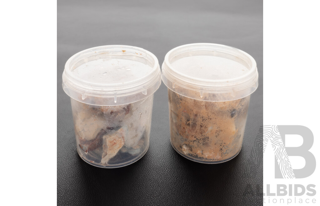 Austalian Opal Natural Rough Unpolished Gemstones in (2) Containers