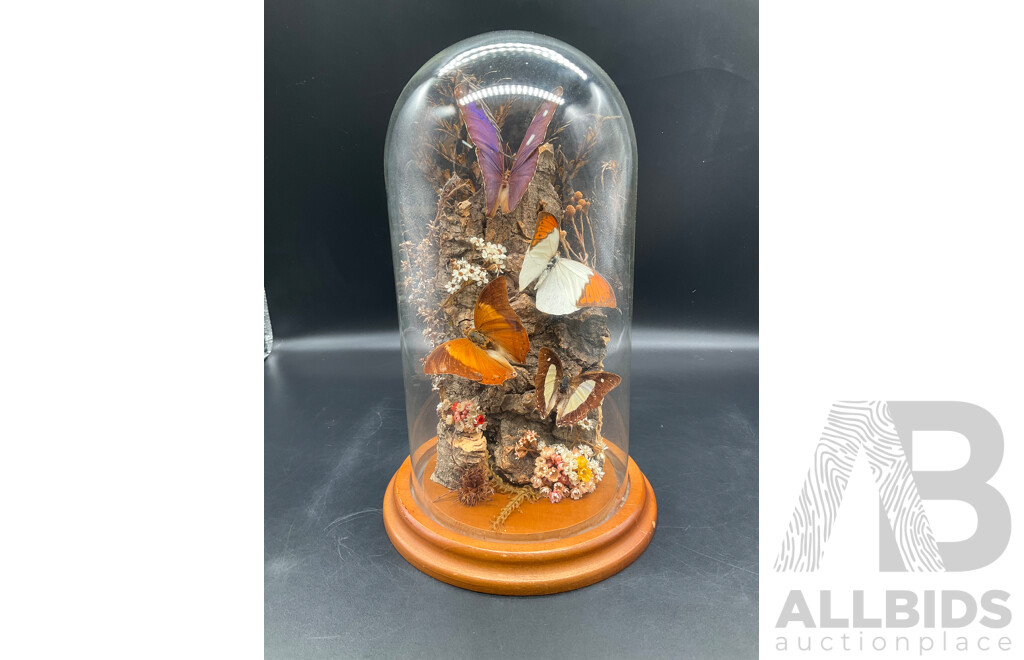 Butterflies in Glass Dome