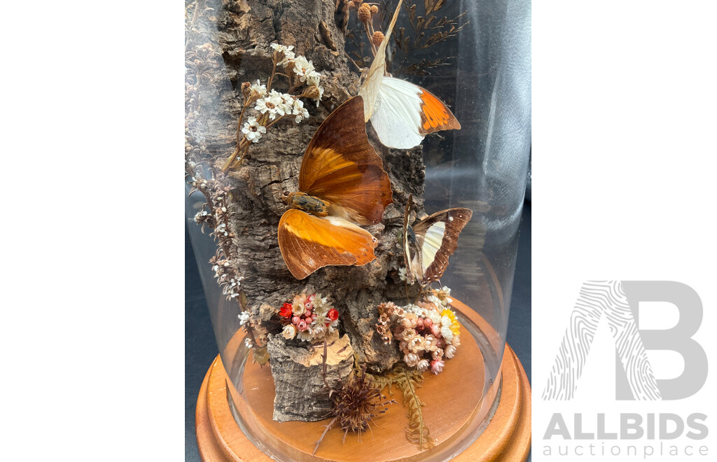 Butterflies in Glass Dome