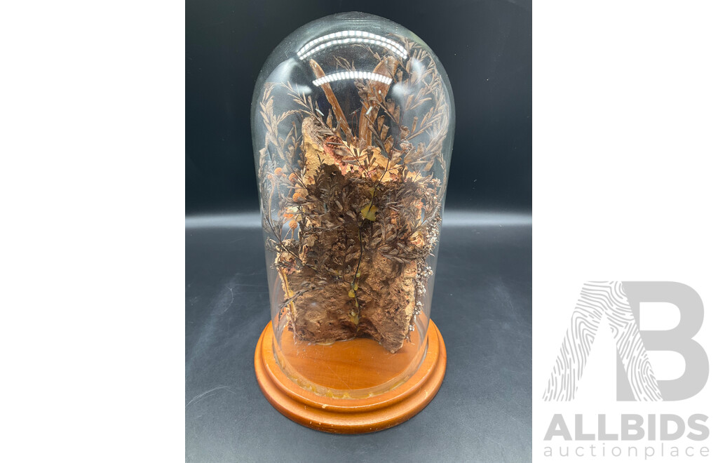 Butterflies in Glass Dome