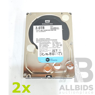 Western Digital (WD3000F9YZ) 3TB SATA 7.2K 3.5-Inch Hard Drive - Lot of Two