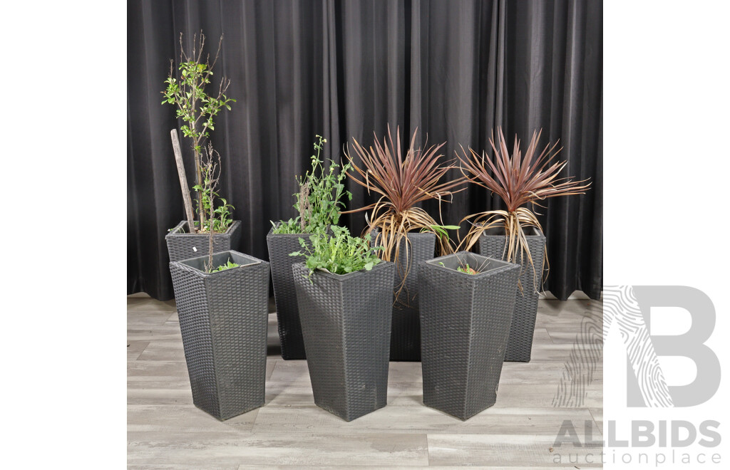 Collection of Seven Polyweave Planters