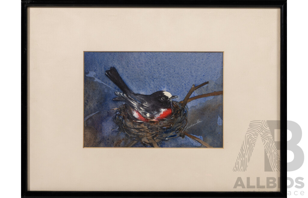 (Possibly) Ludmila Hawkins, (20th Century), Nesting Scarlet Robin, Lovely Original Watercolour, 25 x 32 cm (frame)
