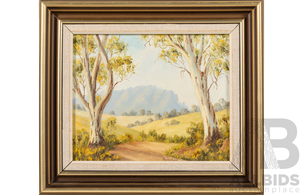 Irmgard Rosenfeldt (20th Century), Mt. Roland, Original Vintage Oil on Board, 30 x 34 cm (frame)